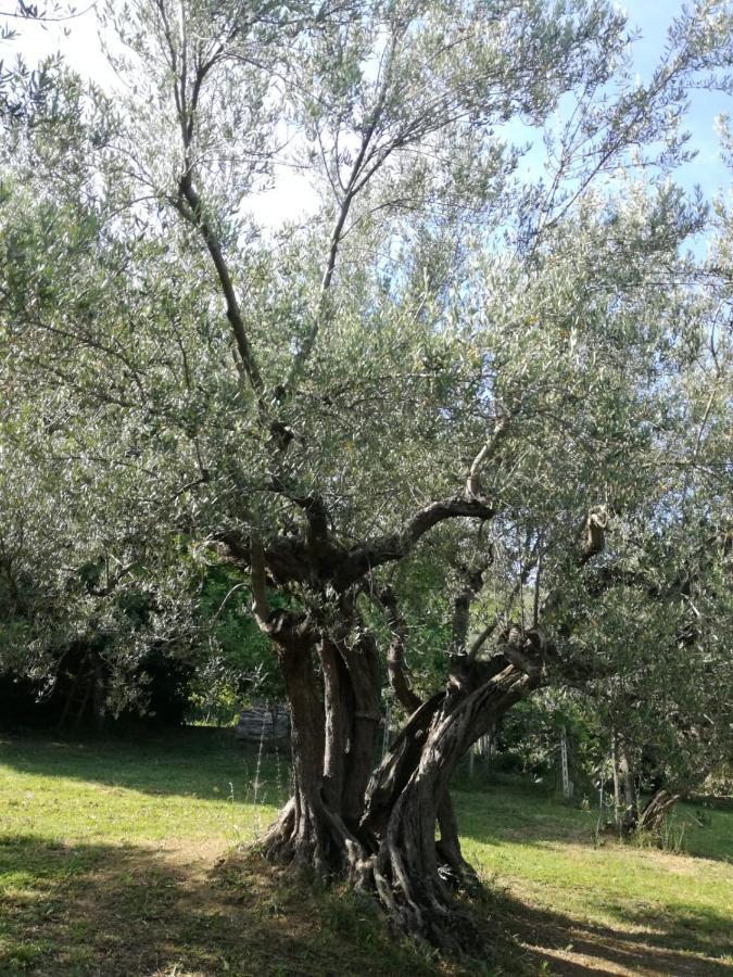 Vacanze In Collina, Tra Mare E Monti Bucchianico المظهر الخارجي الصورة