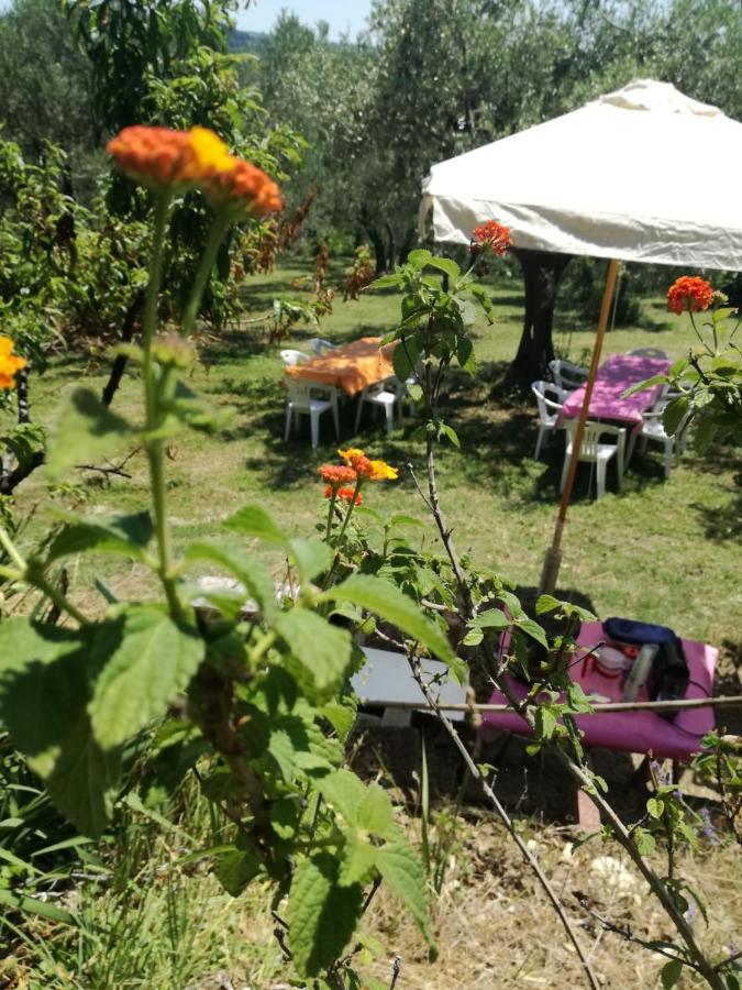 Vacanze In Collina, Tra Mare E Monti Bucchianico المظهر الخارجي الصورة